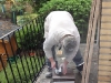 dscf9241