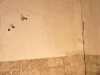 p1040541