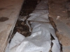 Drainage